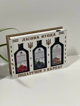 Подарунковий набір &ldquo;Лісова ягода&rdquo; з Карпат 3х200мл🍓🎁 Набір 3*200мл фото