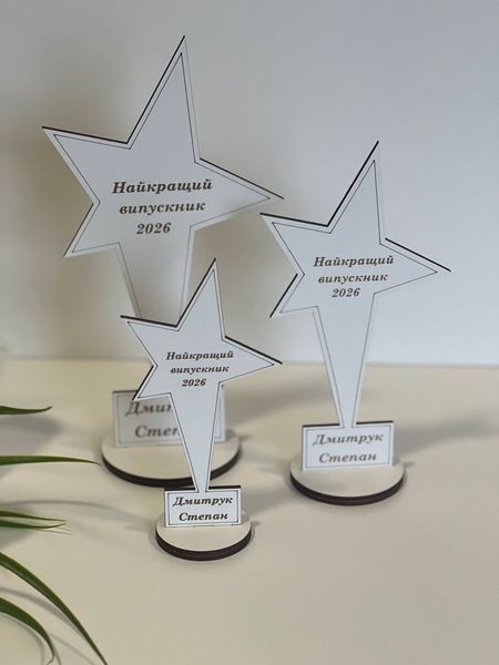 Статуетка &ldquo;Оскар&rdquo; для найкращого випускника ⭐ 25*13см Оскар.№4 фото